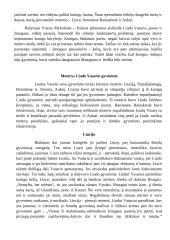 Liudo Vasario dvasinės brandos kelias 2 puslapis