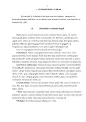 Komandinis darbas 3 puslapis