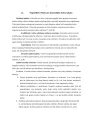 Komandinis darbas 4 puslapis