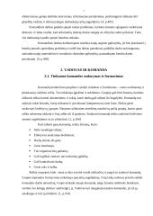 Komandinis darbas 6 puslapis