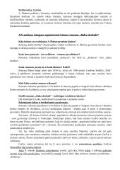 Antanas Škėma. Balta drobulė 2 puslapis