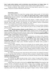 Antanas Škėma. Balta drobulė 11 puslapis