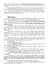 Antanas Škėma. Balta drobulė 12 puslapis