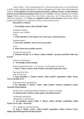 Antanas Škėma. Balta drobulė 14 puslapis