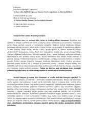 Antanas Škėma. Balta drobulė 15 puslapis