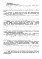 Antanas Škėma. Balta drobulė 16 puslapis