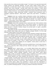 Antanas Škėma. Balta drobulė 18 puslapis