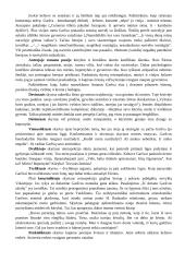 Antanas Škėma. Balta drobulė 19 puslapis