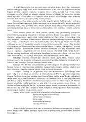 Antanas Škėma. Balta drobulė 20 puslapis