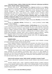 Antanas Škėma. Balta drobulė 3 puslapis