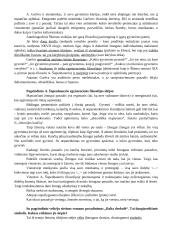 Antanas Škėma. Balta drobulė 4 puslapis