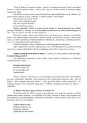 Antanas Škėma. Balta drobulė 5 puslapis