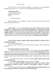 Antanas Škėma. Balta drobulė 6 puslapis