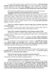 Antanas Škėma. Balta drobulė 7 puslapis