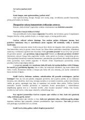 Antanas Škėma. Balta drobulė 8 puslapis