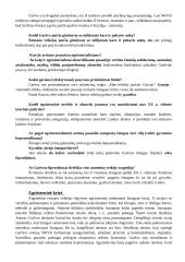 Antanas Škėma. Balta drobulė 9 puslapis