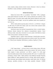 Komerciniai bankai 13 puslapis