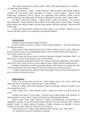 Balys Sruoga. Dievų miškas. Analizavimas 13 puslapis