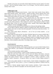 Balys Sruoga. Dievų miškas. Analizavimas 14 puslapis