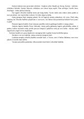 Balys Sruoga. Dievų miškas. Analizavimas 15 puslapis