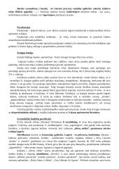 Balys Sruoga. Dievų miškas. Analizavimas 4 puslapis