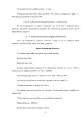 Kompiuterio grandinių elementai 10 puslapis