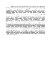 H. Radausko eilėraščio „Pasaka“ analizė 2 puslapis