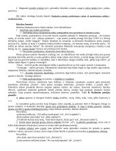 XX a. vidurio modernioji literatūra: Henrikas Radauskas 3 puslapis