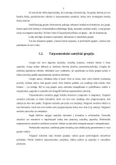 Komunikacija ir žmonių bendravimas 3 puslapis