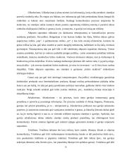 Komunikacijos efektyvumas ir kompetencija 10 puslapis