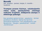 Juozas Aputis "Erčia, kur gaivus vanduo": erdvė, laikas, veikėjai 19 puslapis