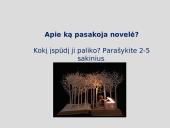 Juozas Aputis "Erčia, kur gaivus vanduo": erdvė, laikas, veikėjai 6 puslapis