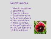 Juozas Aputis "Erčia, kur gaivus vanduo": erdvė, laikas, veikėjai 7 puslapis