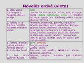 Juozas Aputis "Erčia, kur gaivus vanduo": erdvė, laikas, veikėjai 10 puslapis