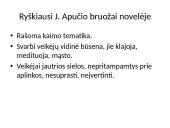 Juozas Aputis „Horizonte bėga šernai“ 8 puslapis