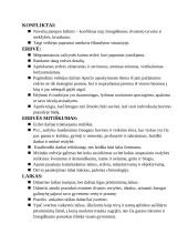 Juozas Aputis, jo kūryba 3 puslapis