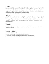 Jurgis Kunčinas - Romanas "Tūla" 2 puslapis