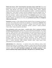 Jurgis Kunčinas ,,Tūla“ analizė 2 puslapis