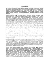 Jurgio Kunčino "Tūlos" aprašymas