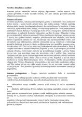 Jurgis Kunčinas - Tūla 2 puslapis