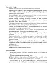 Jurgis Kunčinas ir "Tūla" 4 puslapis