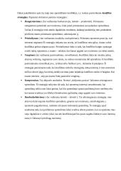 Konfliktų strategija ir sprendimas 5 puslapis