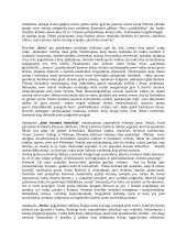 Jurgio Savickio apsakymų aprašymai 2 puslapis