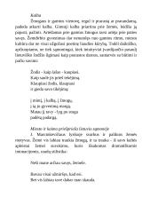 Justino Marcinkevičiaus gyvenimas ir istorijos aplinkybės. Kūrinių analizė. 5 puslapis