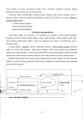 Konkurencijos samprata ir jos veiksniai 12 puslapis