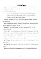 Konkurencijos samprata ir jos veiksniai 13 puslapis