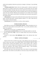 Konkurencijos samprata ir jos veiksniai 10 puslapis