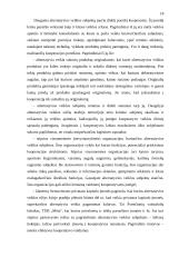 Kooperatyvai 16 puslapis