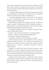 Kooperatyvai 3 puslapis