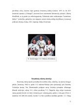 Kosminių kelionių charakteristika 6 puslapis